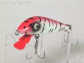TigerCub@^CK[Ju