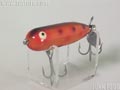 Baby Torpedo@xr[g[s[h