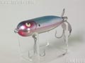 Baby Torpedo@xr[g[s[h