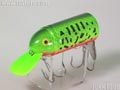 ビッグバド