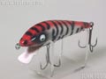 Tiger�@�^�C�K�[