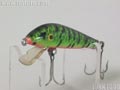 TigerCub タイガーカブ