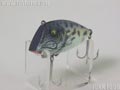Pico-Perch�@�s�R�p�[�`
