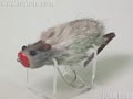 サイレントマウス オリジナル