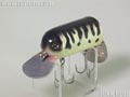 Tバド