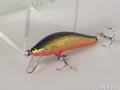 ブラウニー 5cm