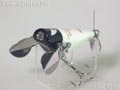 モンモンゼミ