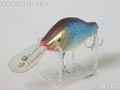 サカナ ディープ