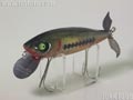 レジーナ アゴラ