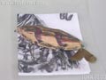 瓜坊 ウリボウ
