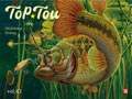 トップ党 TOPTOU