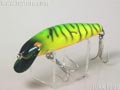 F10 シャローランナー