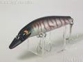 F10 ミディアムランナー
