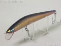 ソルティー ブラウニー 14cm