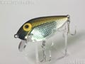 Silver-Shad@Vo[Vbh@teBO