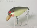Speed-Shad@Xs[hVbh