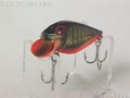 Rattlin-Shad@gVbh