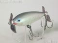 Crazy-Shad@NCW[Vbh