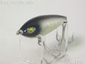 Crazy-Shad@NCW[Vbh@yV