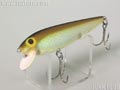 Shiner-Minnow シャイナーミノー大