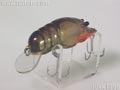 CRAYFISH クレイフィッシュ 大