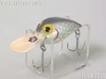 Wiggle-Wart 3/8 ウィグルワート