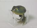 Super Frog 2nd 大 スーパーフロッグ