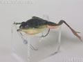 Spin-Frog スピンフロッグ