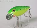 Rattlin-Shad�@���g�����V���b�h��