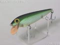 Shiner-Minnow シャイナーミノー大
